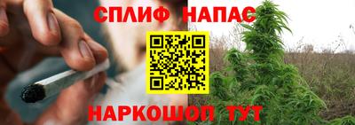 Альфа ПВП Беслан