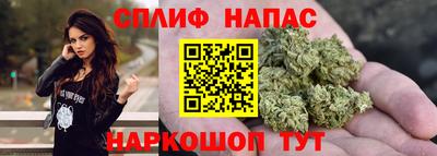амф Бийск