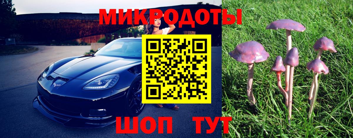 Галлюциногенные грибы мухоморы Кирово-Чепецк