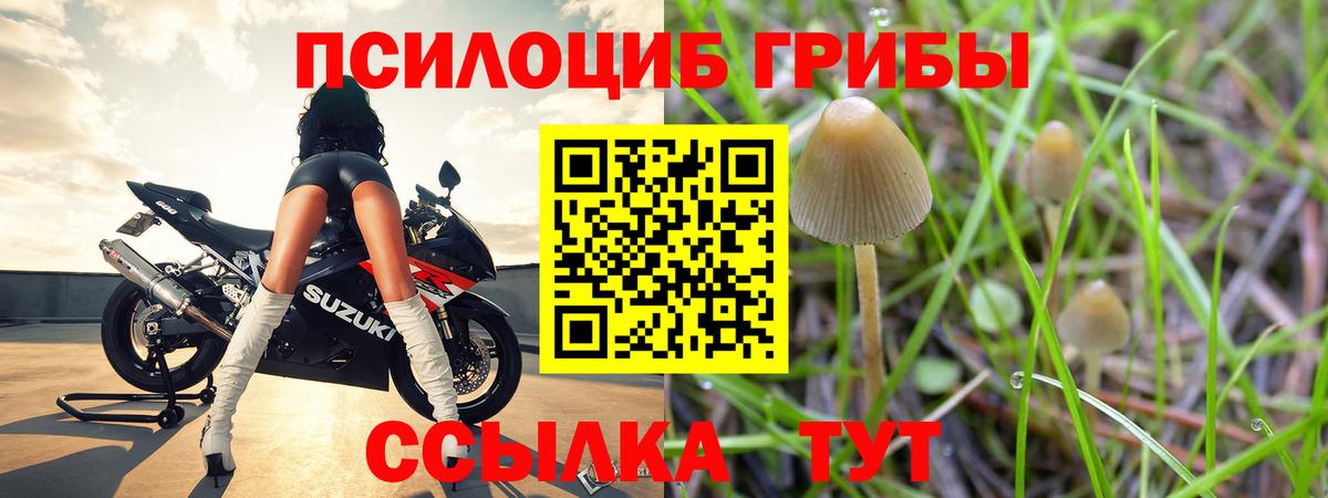 Псилоцибиновые грибы Psilocybine cubensis  Вход с VPN  Кирово-Чепецк 